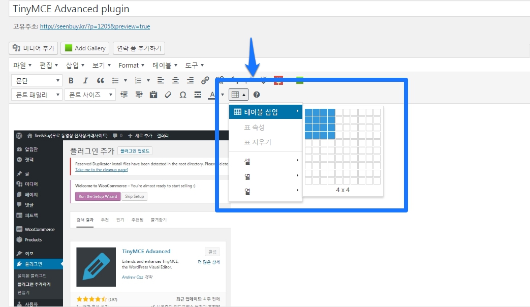 TinyMCE Advanced_plugin_wordpress_2