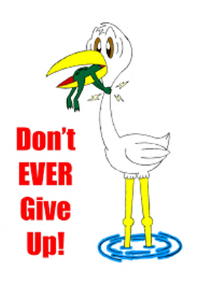dont ever give up_jpg_300