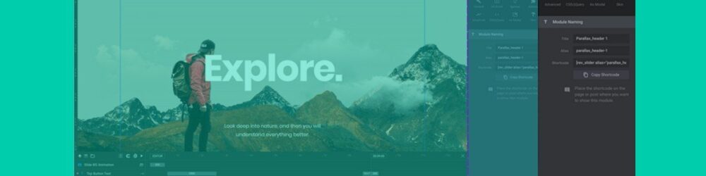 모듈 일반 옵션-feature image-0