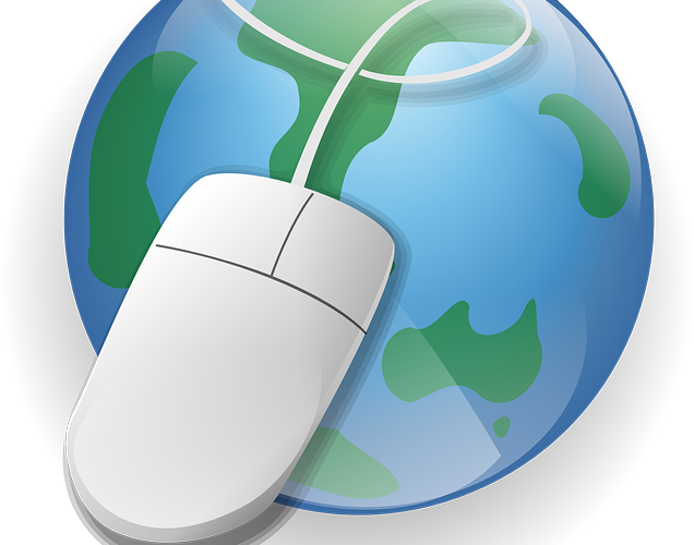 백링크 확인하는 방법들