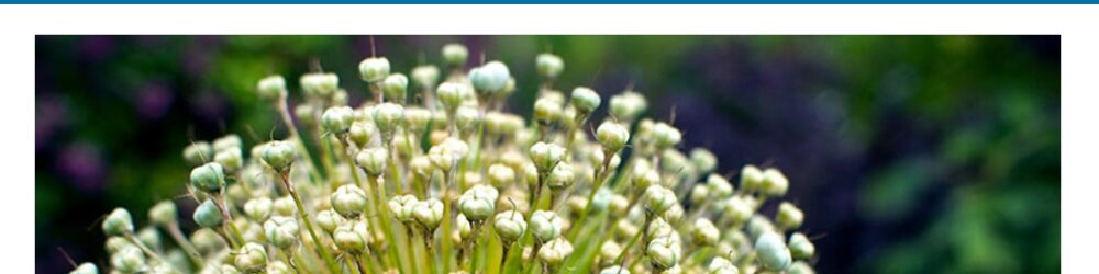 Redirection By John Godley 플러그인