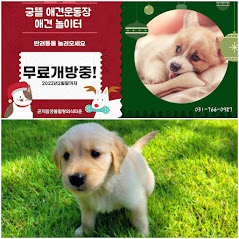 궁뜰 푸줏간 한우한돈 참숯구이 맛집 Restaurants 화담숲 맛집 곤지암맛집 곤지암리조트 맛집 삼겹살 맛집 김치찌개 맛집6