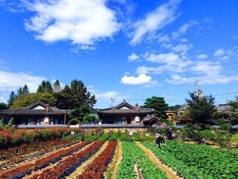 궁뜰14 곤지암 맛집 화담숲 맛집 경기도 맛집 곤지암리조트 건강밥상 restaurants 발효밥상 경기으뜸맛집 모범음식점 맛있는발효밥상 경기관광맛집 768x576