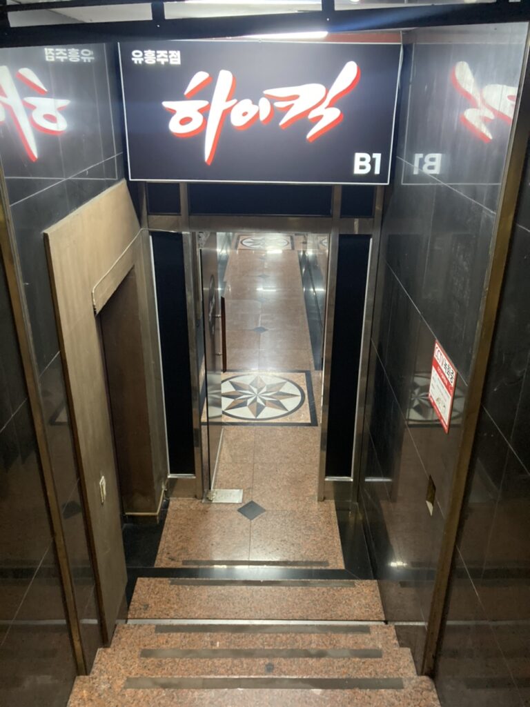 외부사진 2 일산하이킥 일산가라오케 일산셔츠룸 일산레깅스룸 일산비즈니스클럽 일산대형룸 일산노래광장 768x1025