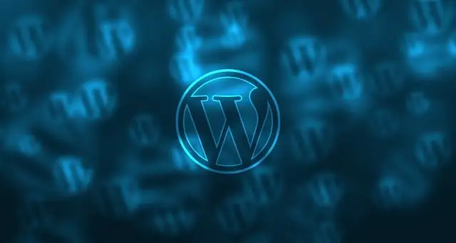 wordpress-581849_640-logo